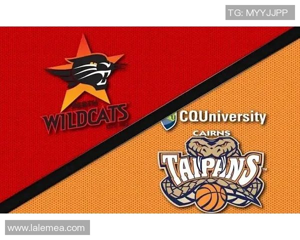 坎斯大班与波斯野猫的精彩对决揭示了足球战术的博弈与激情的碰撞 坎斯大班与波斯野猫的精彩对决揭示了足球战术的博弈与激情的碰撞