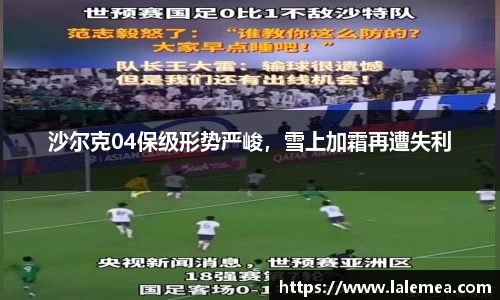 沙尔克04保级形势严峻，雪上加霜再遭失利