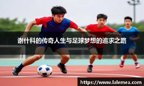 谢什科的传奇人生与足球梦想的追求之路