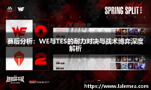 赛后分析：WE与TES的耐力对决与战术博弈深度解析